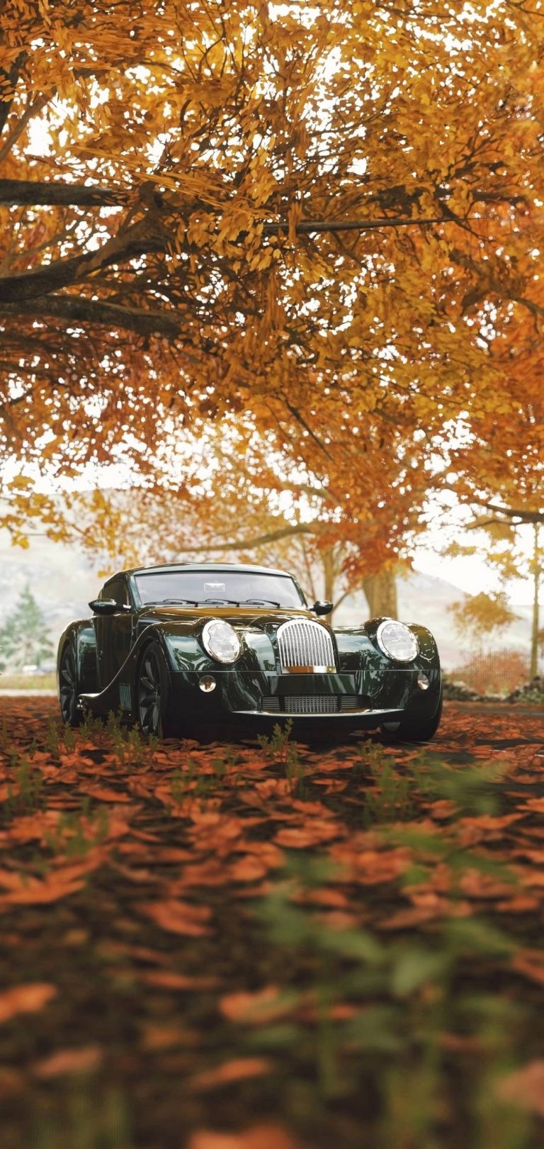 Autumn Season Leaves Car Wallpaper - [1080x2280]