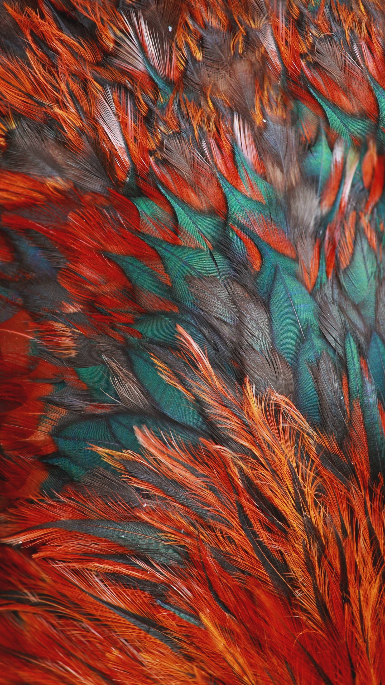 Wings Abstract Wallpaper 16x Wings Abstract Wallpaper 16x