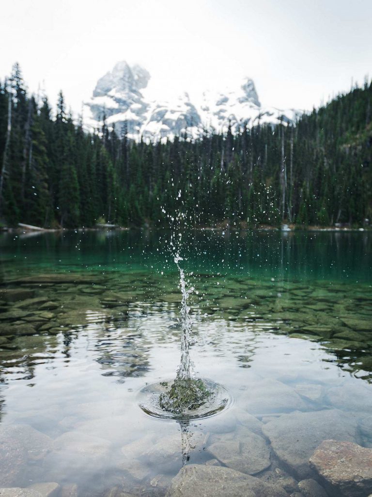 2048x2732 Wallpaper - 135