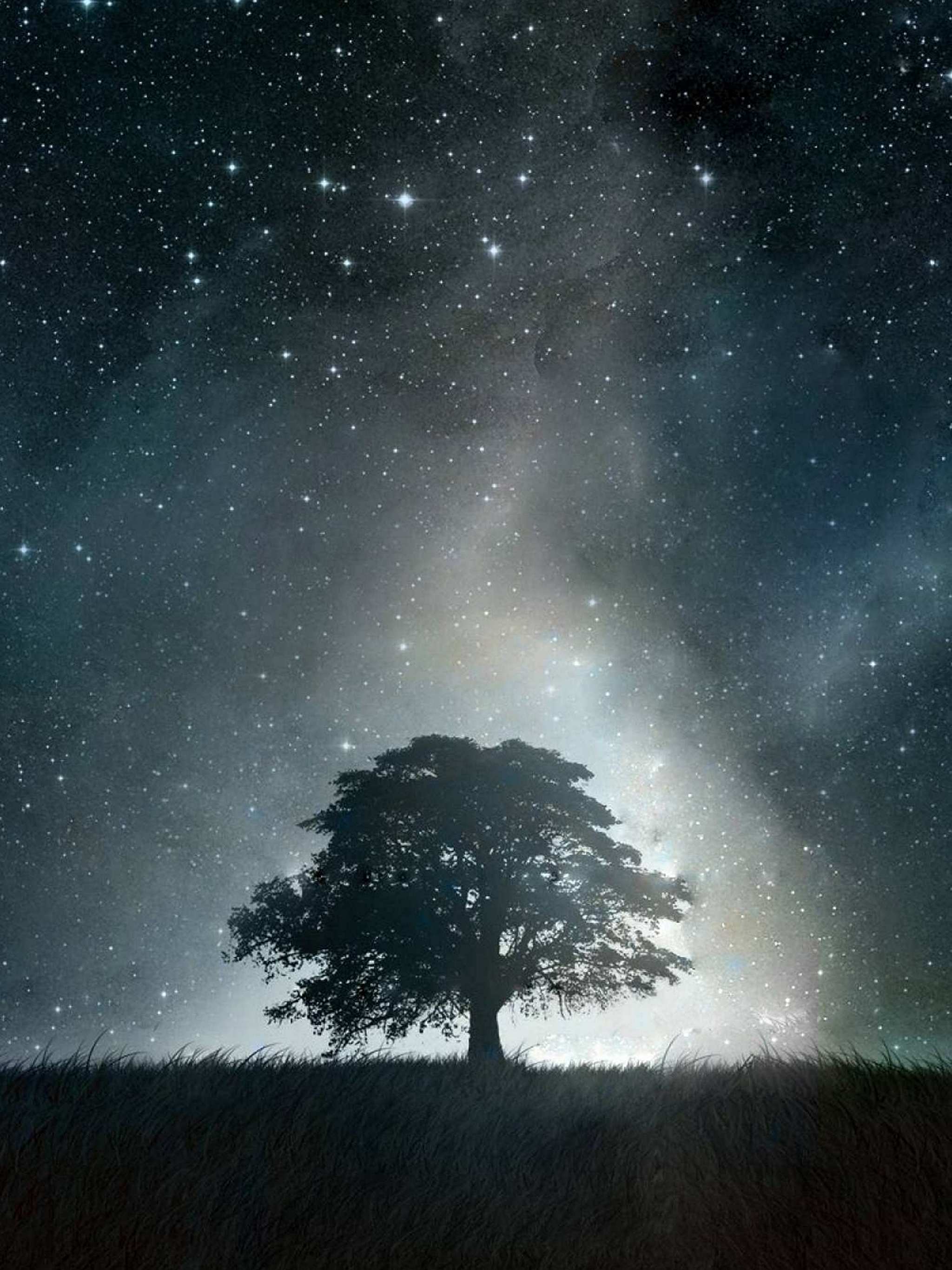 2048x2732 Wallpaper - 140