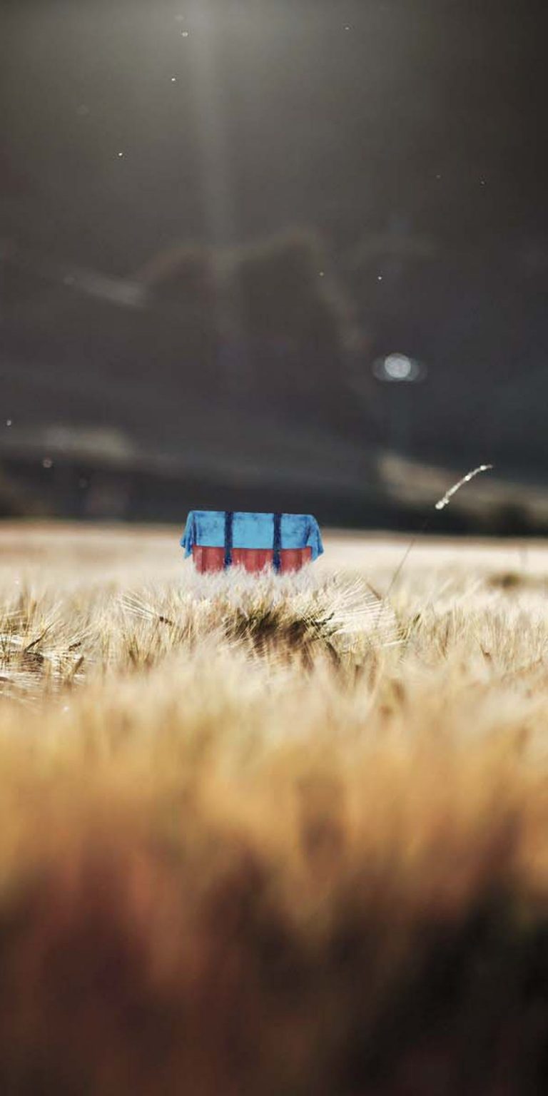 PUBG Smartphones Wallpaper 11 - 1080x2160 PUBG Smartphones Wallpaper 11 - 1080x2160