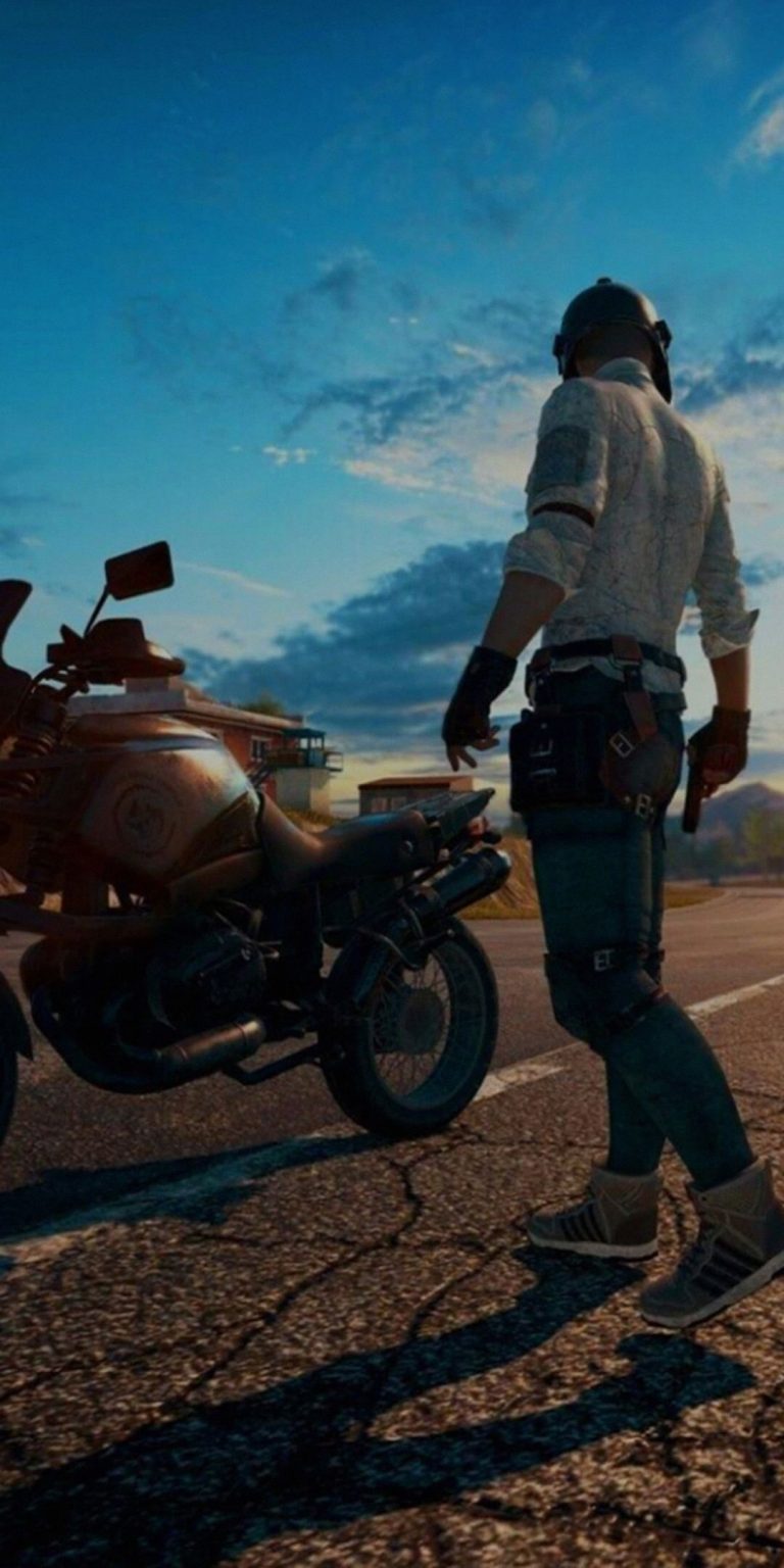 PUBG Smartphones Wallpaper 18 - 1080x2160