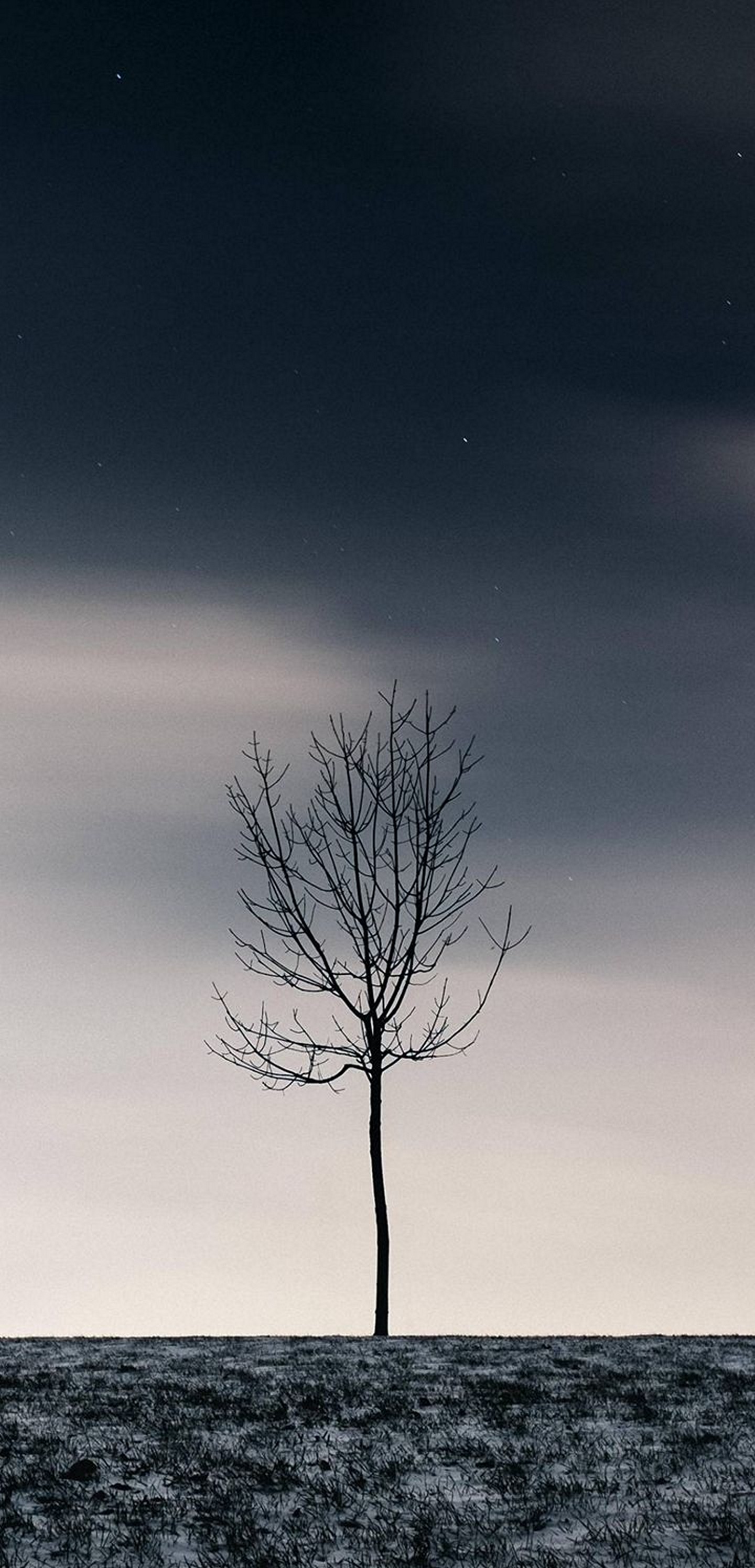 1440x2992 Wallpaper 064