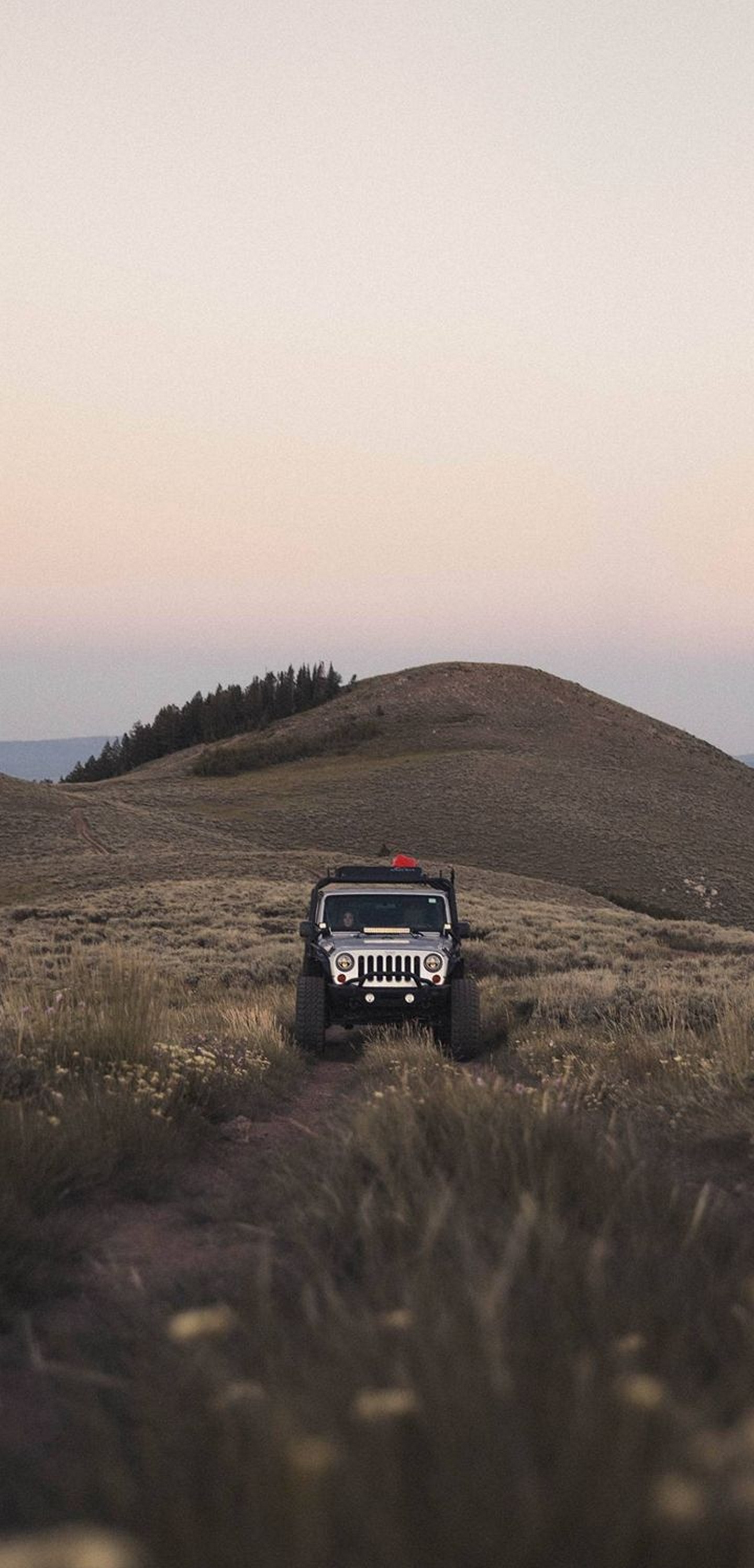 1440x2992 Wallpaper 105