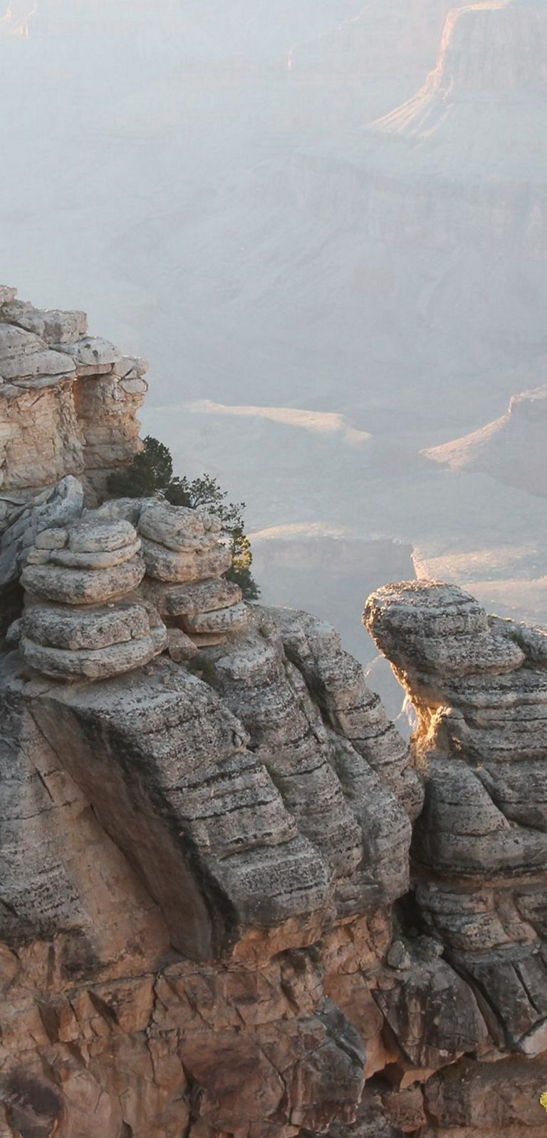 1440x2992 Wallpaper 123