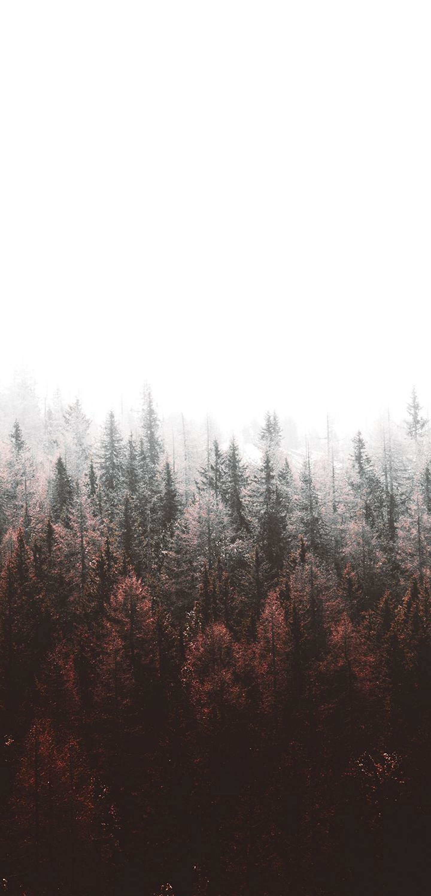 1440x2992 Wallpaper 294