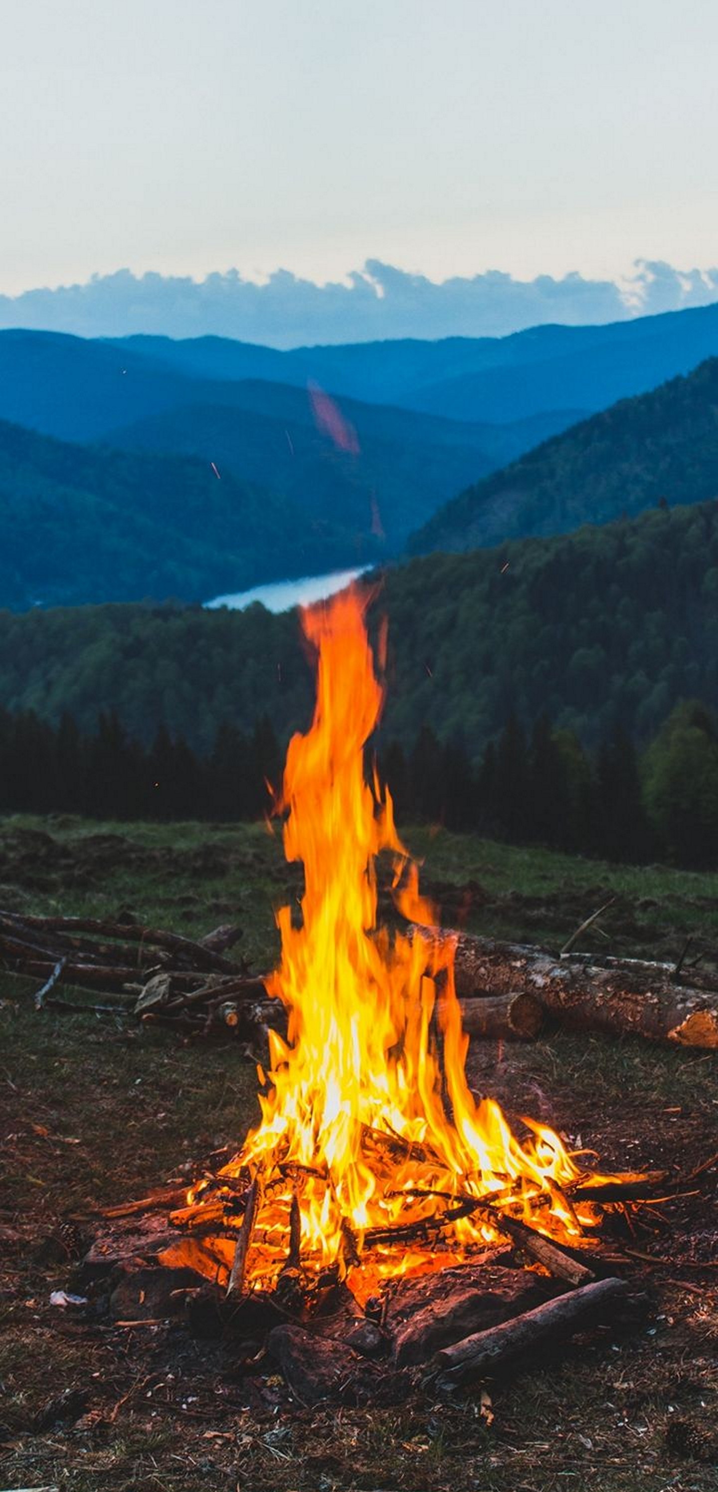 1440x2992 Wallpaper 360