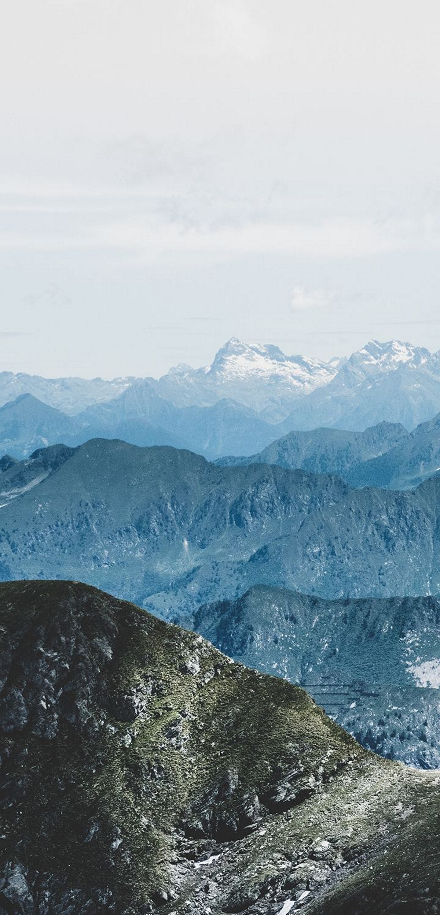 1440x2992 Wallpaper 363