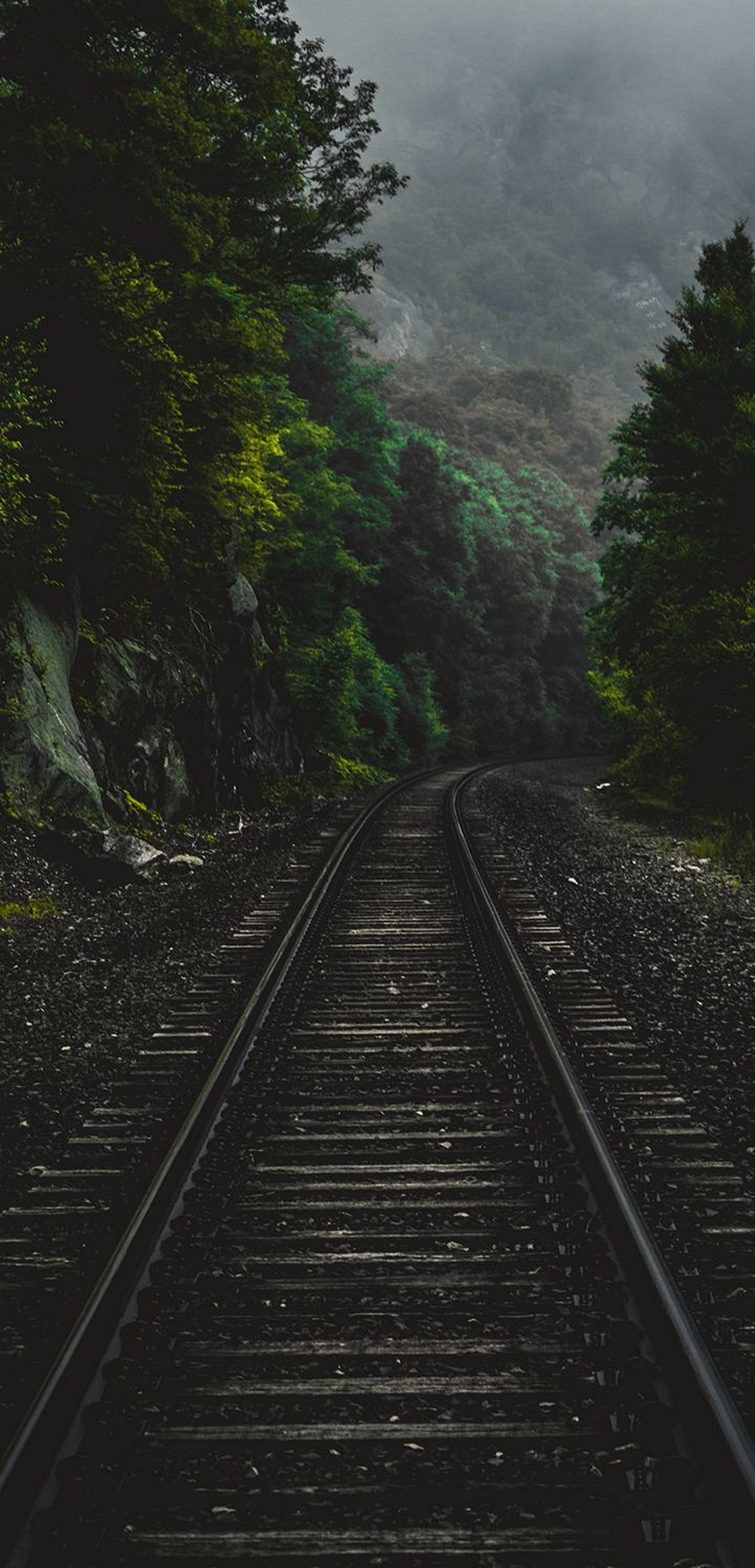 1440x2992 Wallpaper 376