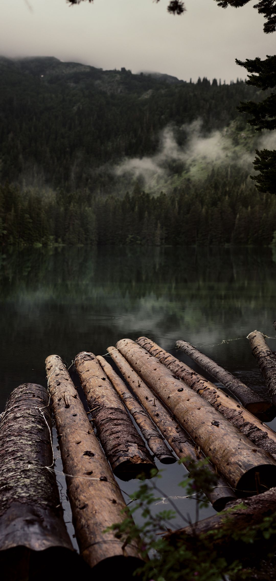 1080x2270 Wallpaper - 07
