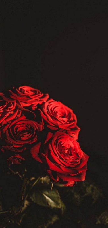 Dark Red Flowers Bouquet 1080x2270 380x799