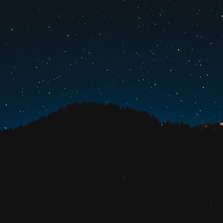 Starry Sky Night Trees - [2780x2780]