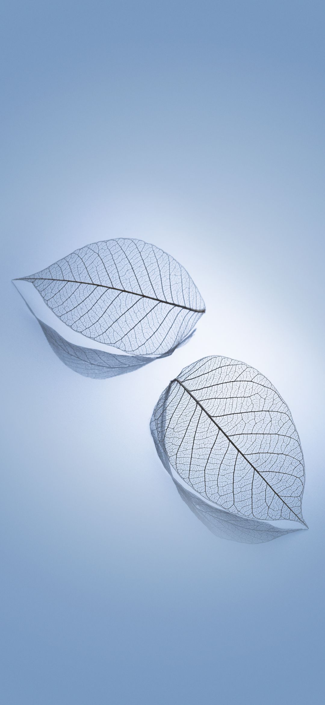 Xiaomi Mi 9 Stock Wallpaper 09 - [1080x2340]
