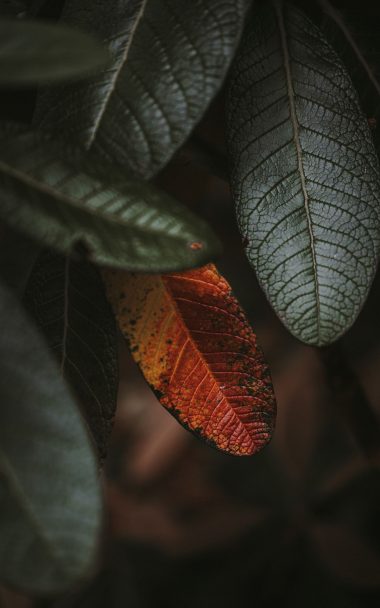 10x19 Wallpapers Hd 10x19 Wallpapers Hd