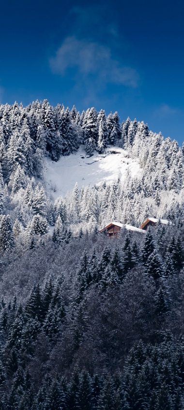 Alps Mountains Snow Trees 1080x2400 380x844