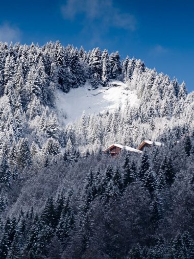 Alps Mountains Snow Trees 768x1024 380x507