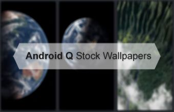 Android Q Stock Wallpapers