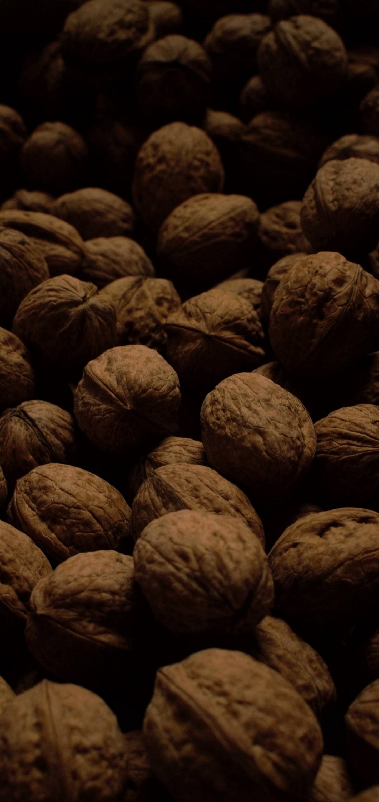 HD wallpaper selective focus photography of nuts walnut walnuts fruit  bowl  Wallpaper Flare