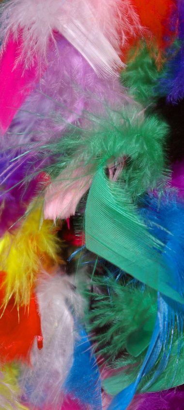 Feathers Background Colorful 1080x2400 380x844