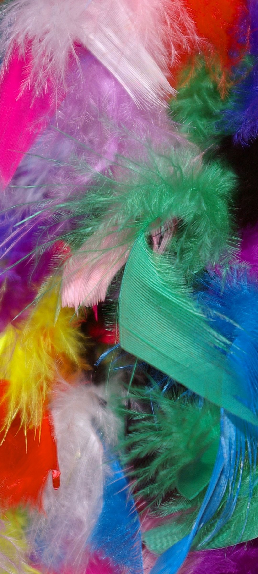 Feathers Background Colorful 1080x2400