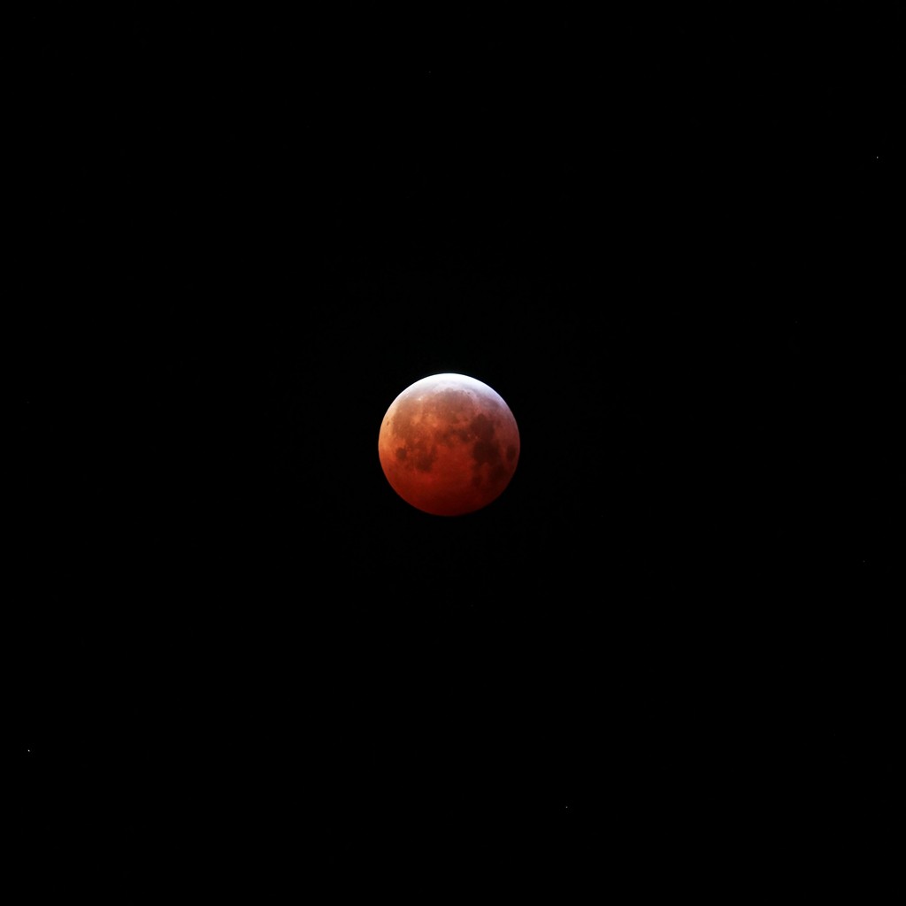 Full Moon Moon Red Moon Wallpaper - [1024x1024]