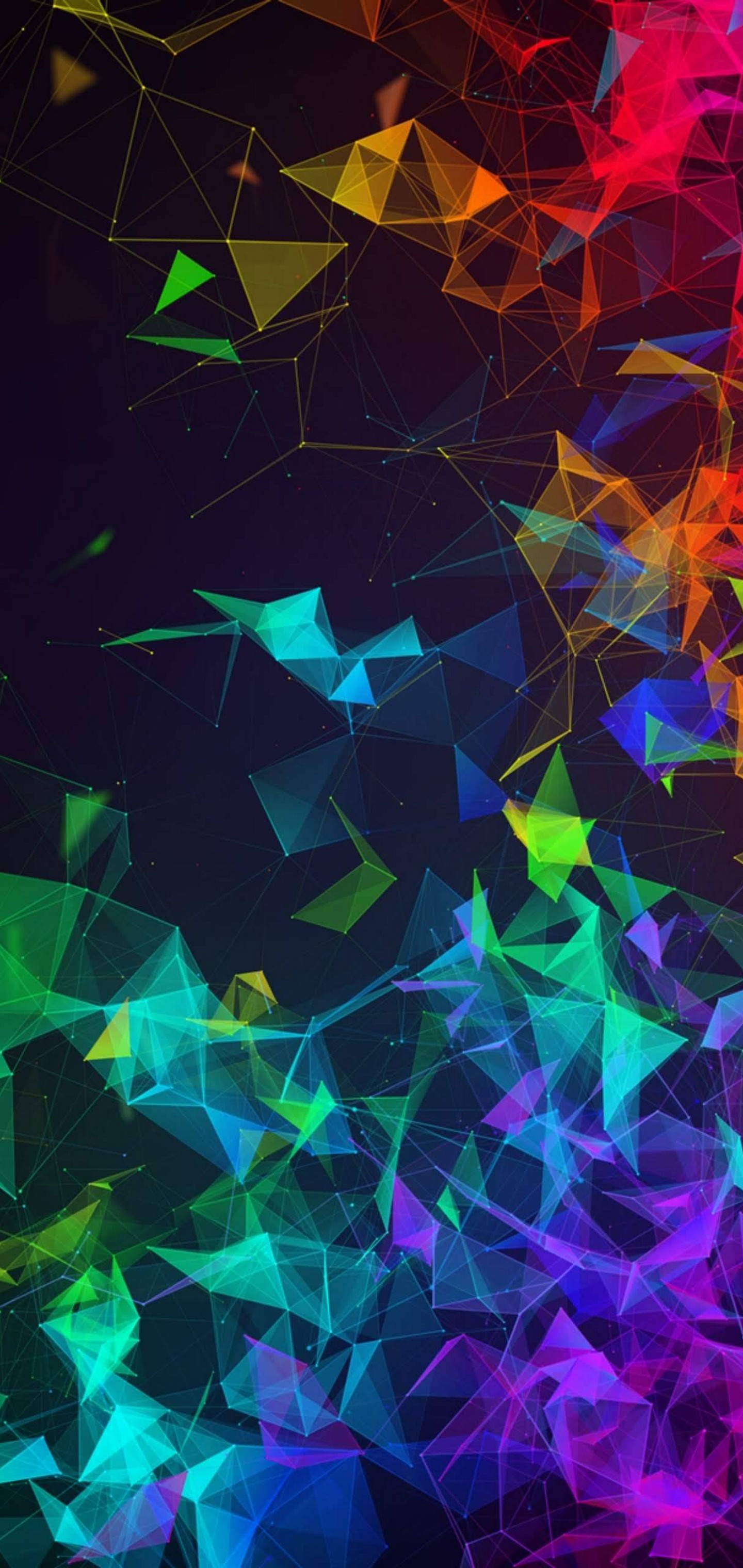 Multi Color  Polygon Wallpaper  1440x3040 