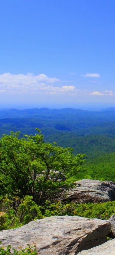 North Carolina Mountains Grass 1080x2400 380x844