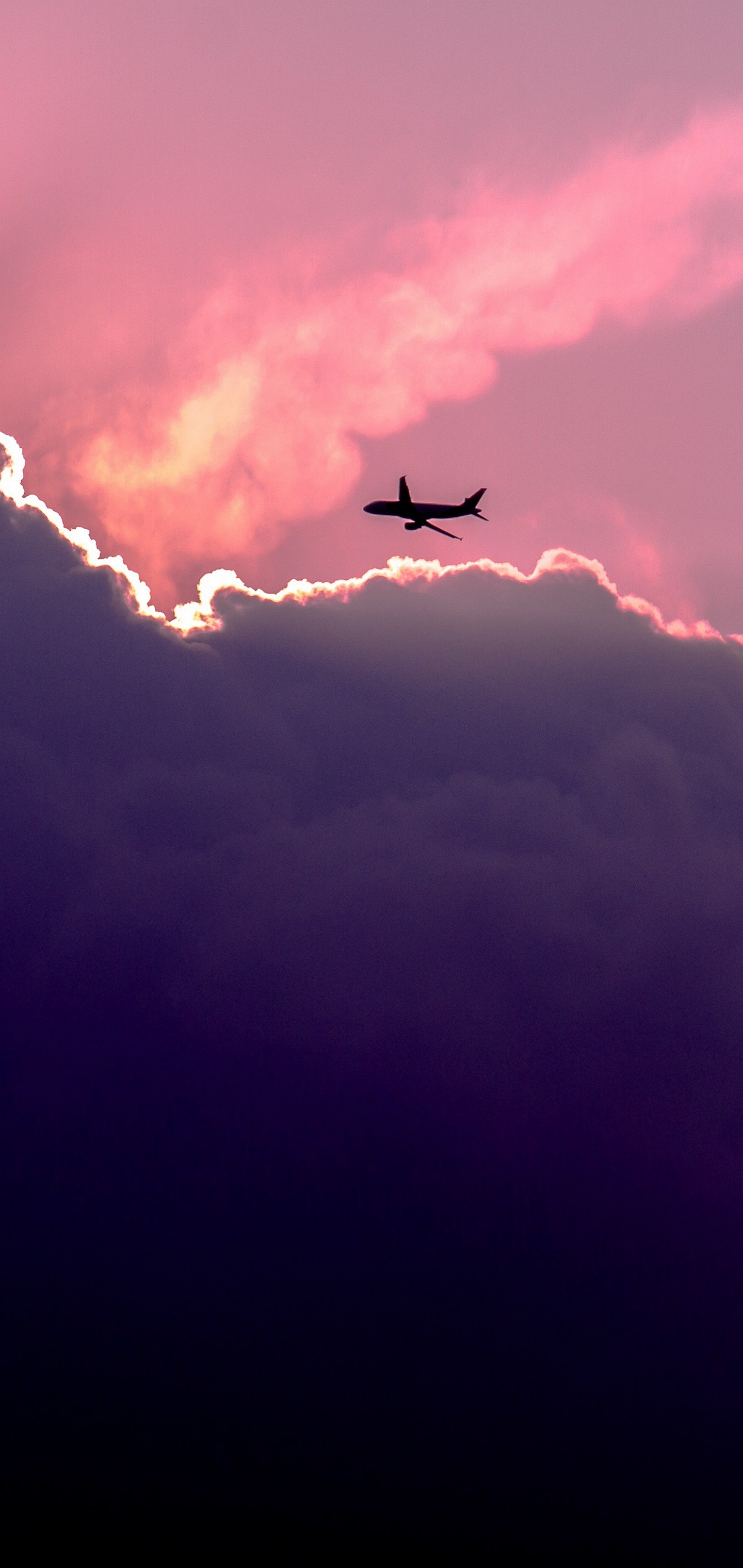 Plane Sky Clouds Wallpaper - [1440x3040]