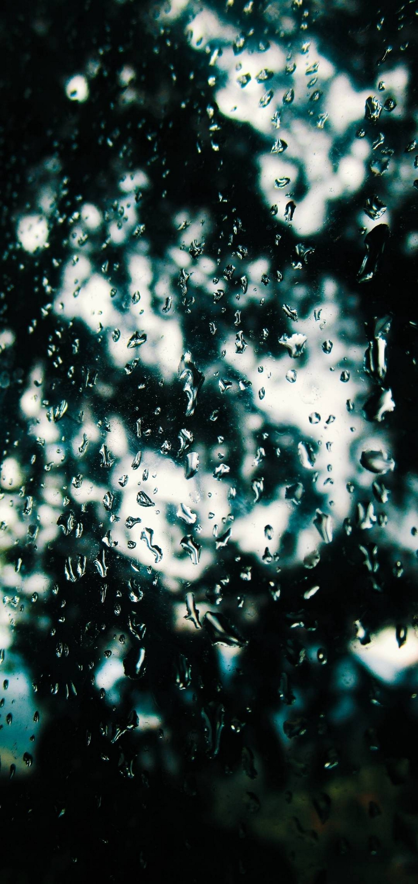 Rain Drops Glass Blur Wallpaper - [1440x3040]