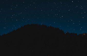 Starry Sky Night Trees 1024x600 340x220