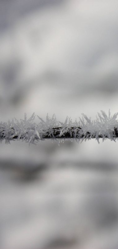 Winter Frozen Snow Wallpaper 1440x3040 380x802