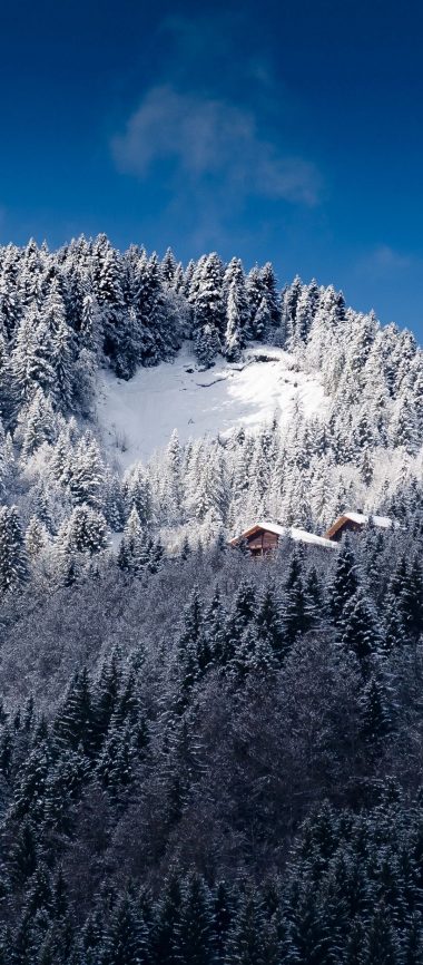 Alps Mountains Snow Trees 1080x2460 380x866