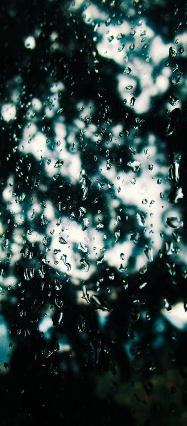 Rain Drops Glass Blur 1080x2460 380x866