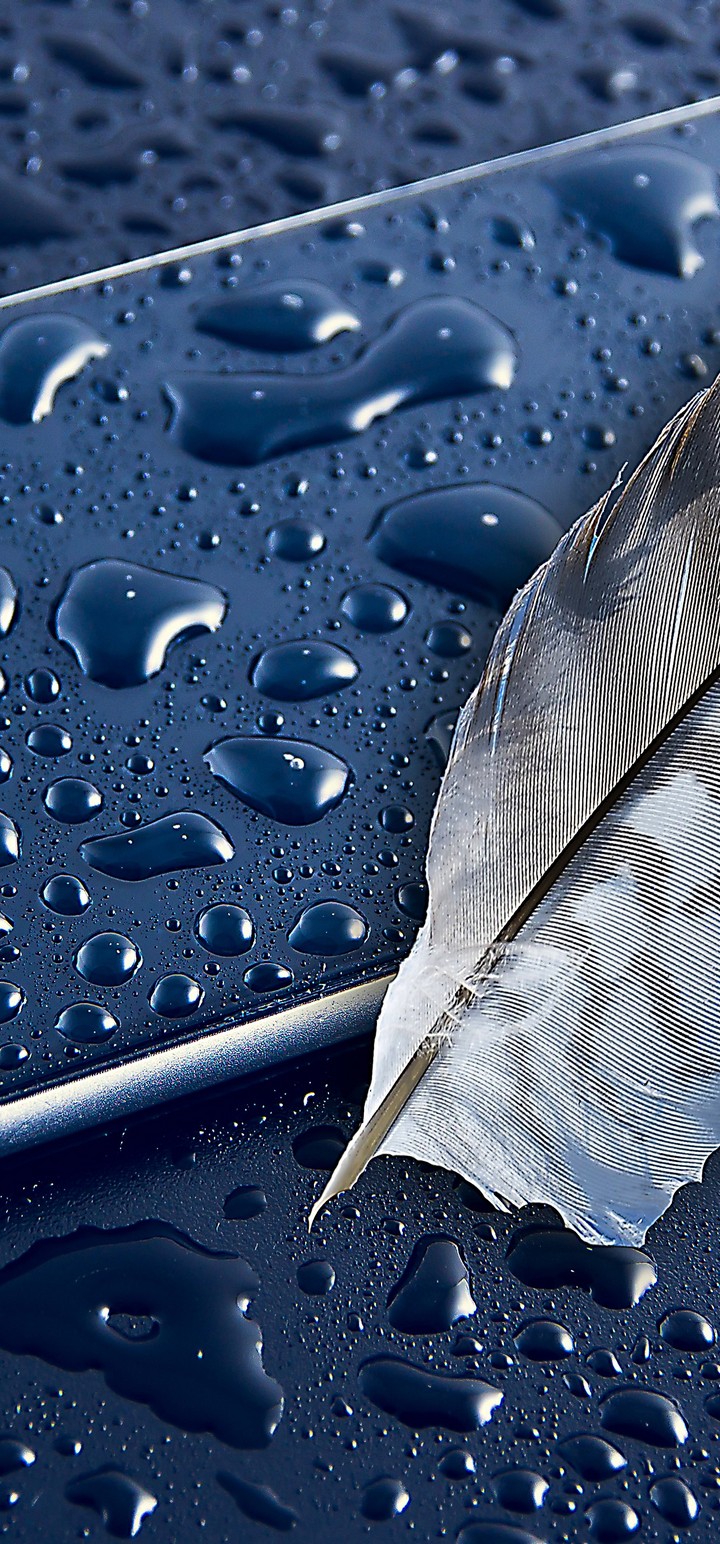 Iphone 6 Apple Feather Smartphone Wallpaper 720x1544