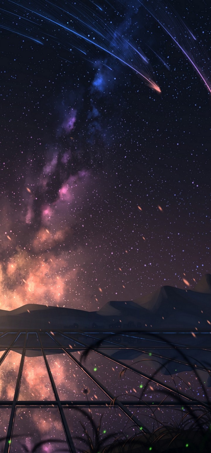 Starry Sky Stargazing Art Wallpaper - [720x1544]