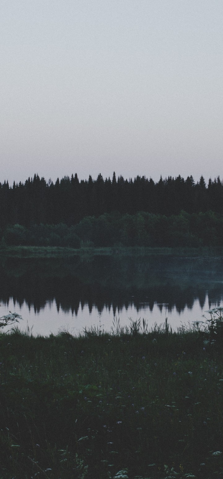 Trees Lake Evening Sky Wallpaper 7x1544 Trees Lake Evening Sky Wallpaper 7x1544