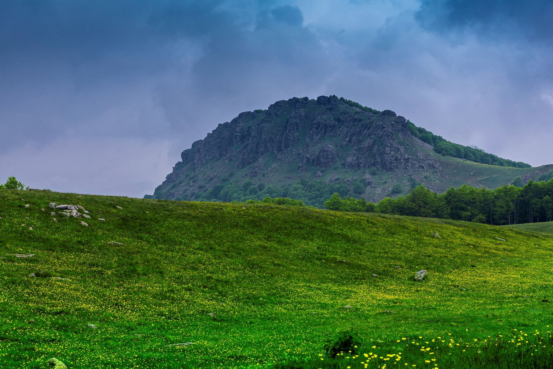 Горные холмы. Зеленые холмы Дагестан. Зеленые холмы Алтай. Полигон, Луга гора травяная. Зеленые холмы Крым.