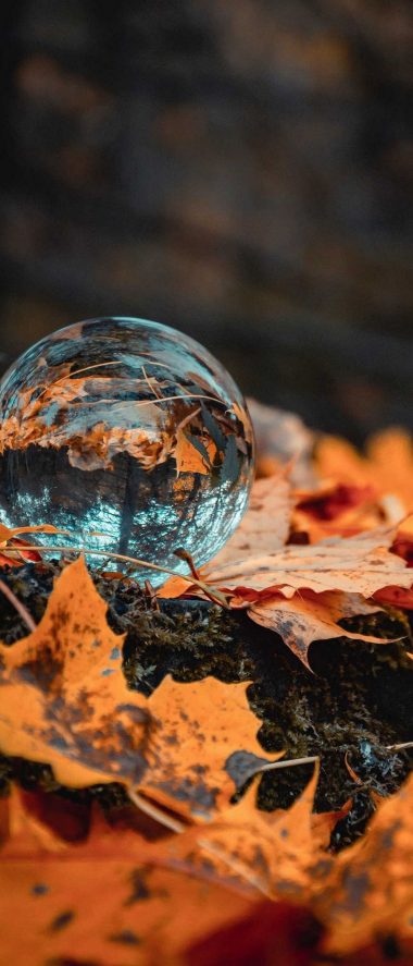 Sony Xperia 10 III Wallpapers HD Sony Xperia 10 III Wallpapers HD