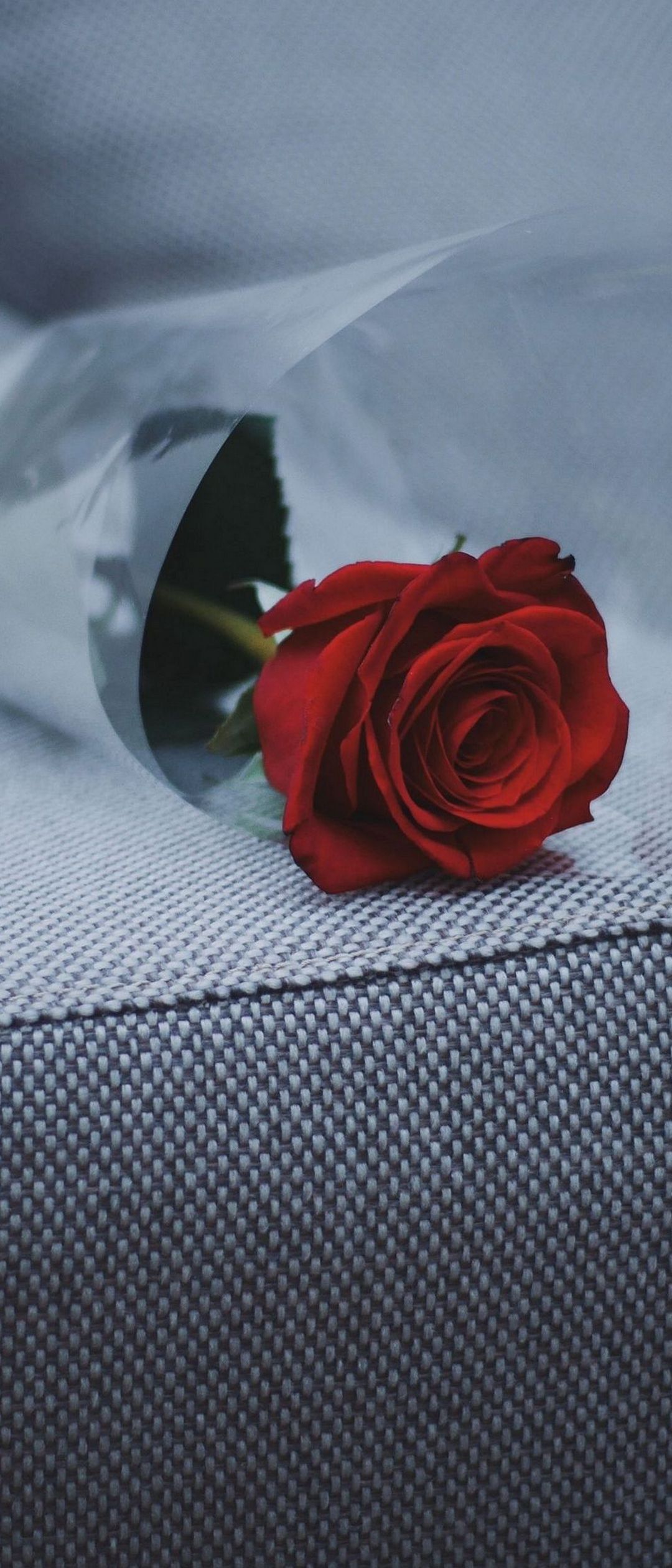 1080x2520 Wallpaper - 179