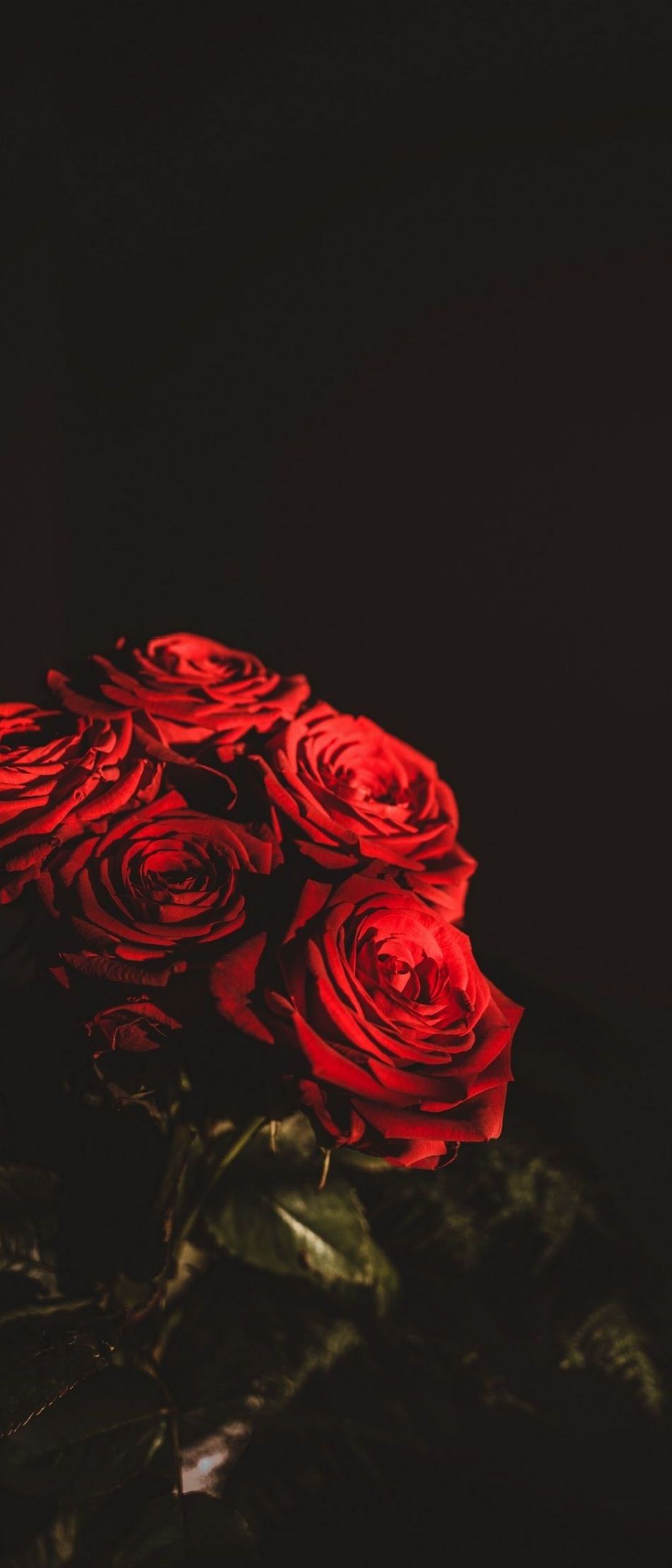 1080x25 Wallpaper 399