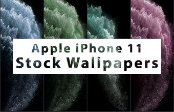 Apple iPhone 11 Stock Wallpapers