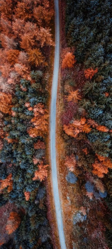 Autumn Road Aerial View Wallpaper 720x1600 380x844