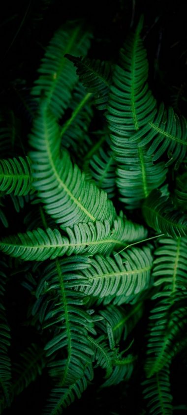 Realme 5 Wallpapers HD Realme 5 Wallpapers HD