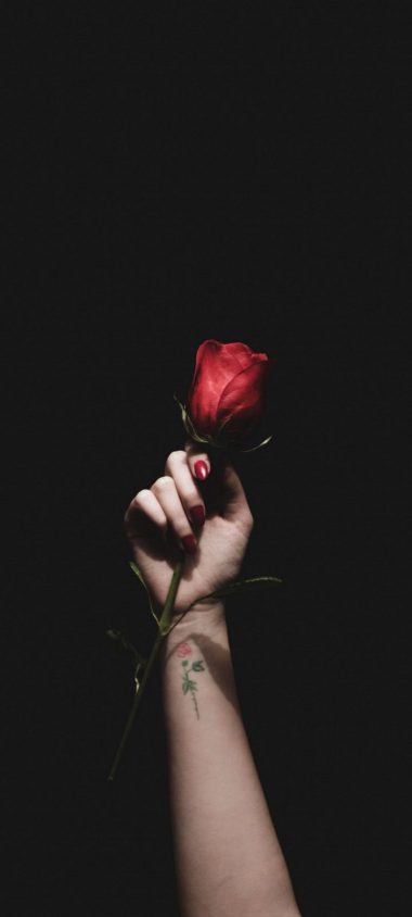 Rose Red Hand Tattoo Wallpaper 720x1600 380x844