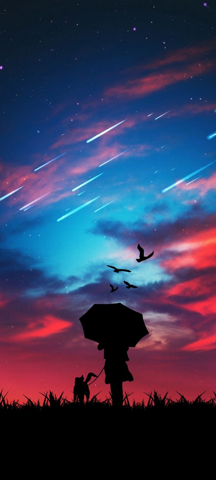 720x1600 Wallpaper HD for Phone  246