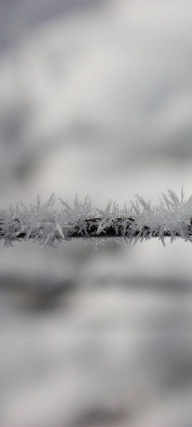 Winter Frozen Snow Wallpaper 720x1600 380x844
