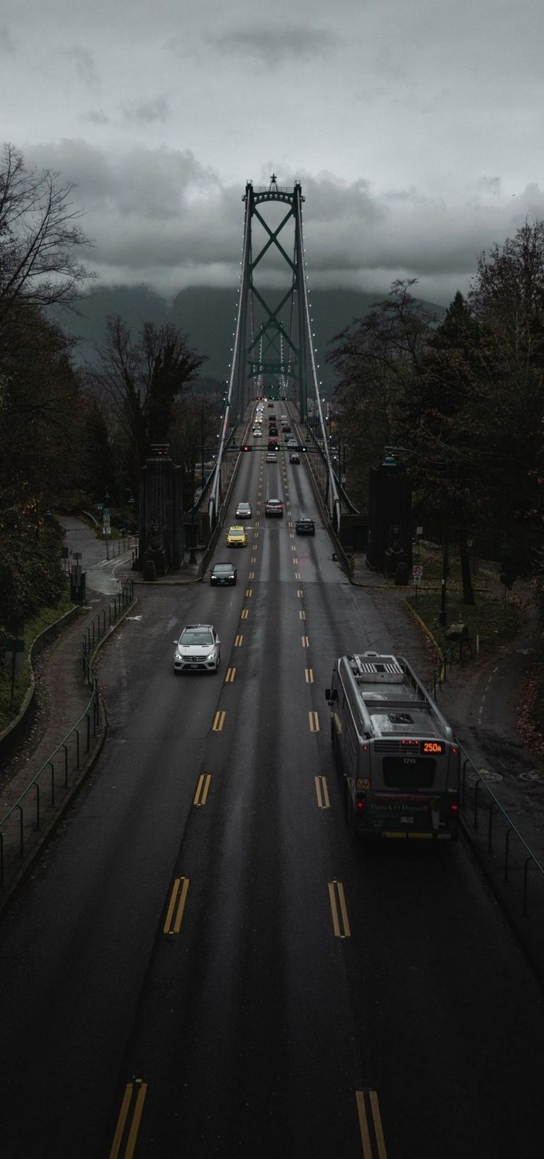 1080x2300 Phone Wallpaper - 223