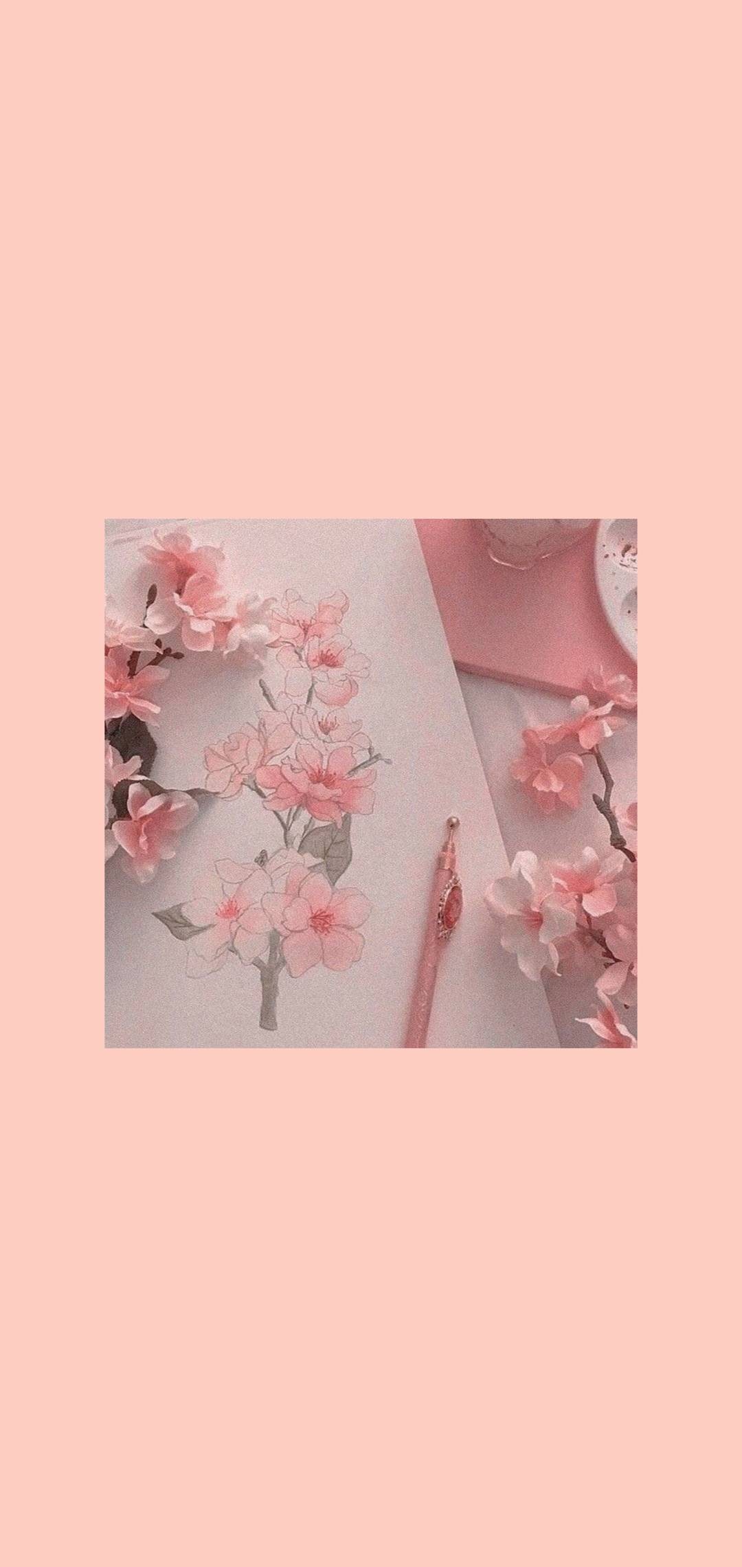 Fashion aesthetics wallpaper Pink Flowers Cherry blossom Spring vibes  Stock Photo  Adobe Stock