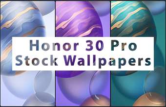 Honor 30 Pro Stock