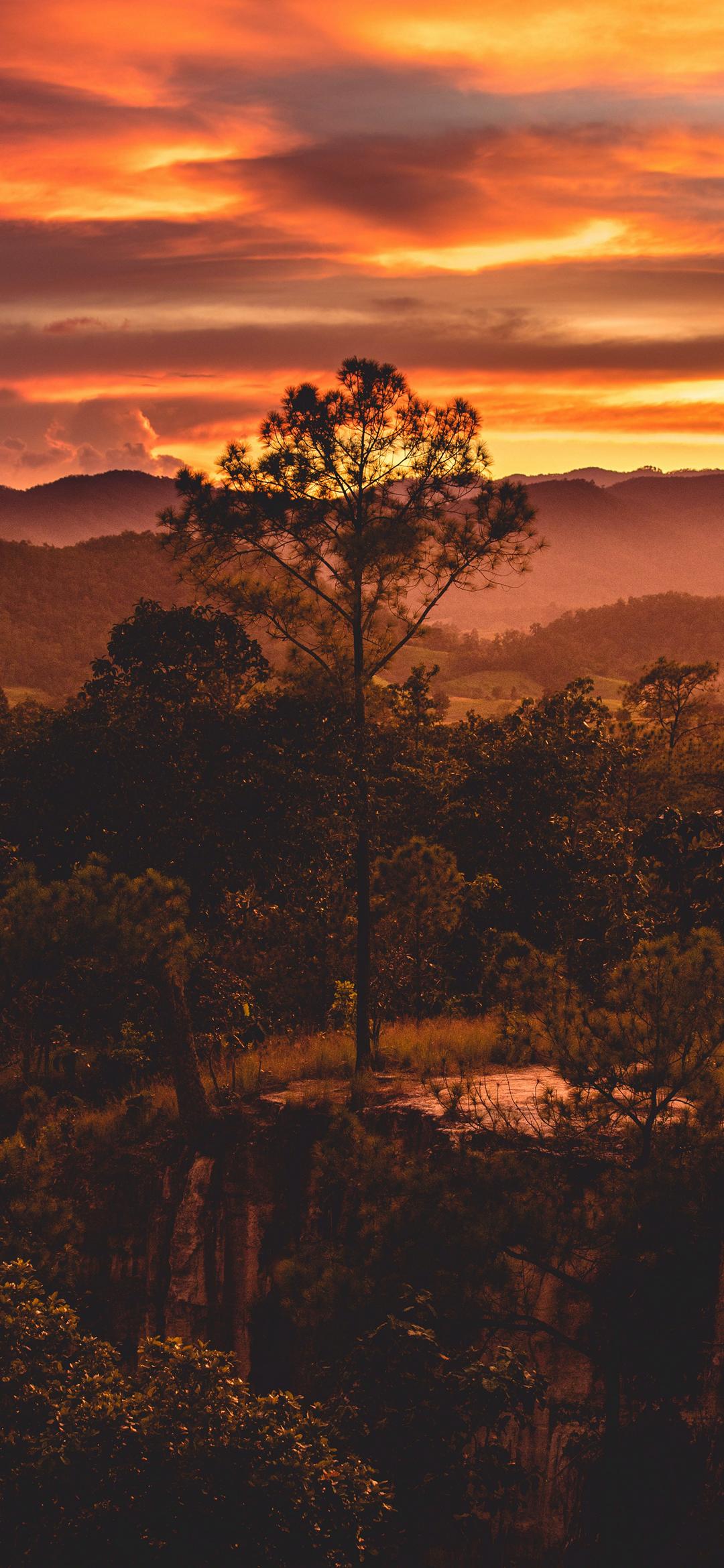 Sunrise Phone Wallpaper 1080x2340 027